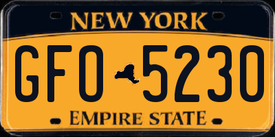 NY license plate GFO5230