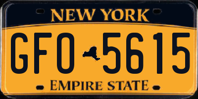 NY license plate GFO5615