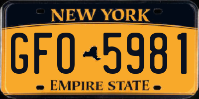 NY license plate GFO5981