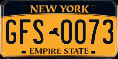 NY license plate GFS0073