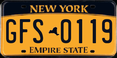 NY license plate GFS0119