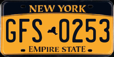 NY license plate GFS0253
