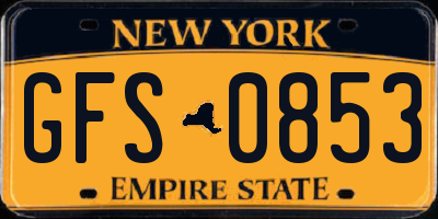 NY license plate GFS0853