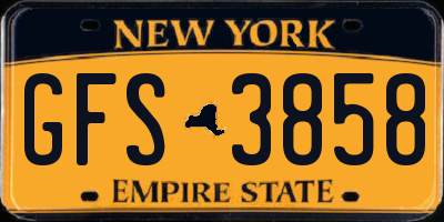 NY license plate GFS3858