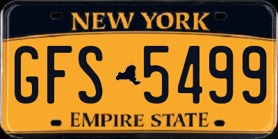 NY license plate GFS5499