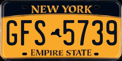 NY license plate GFS5739
