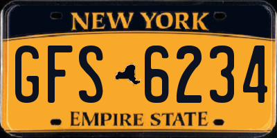 NY license plate GFS6234