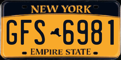 NY license plate GFS6981