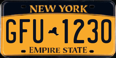 NY license plate GFU1230