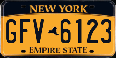 NY license plate GFV6123