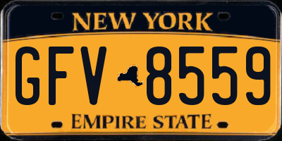 NY license plate GFV8559