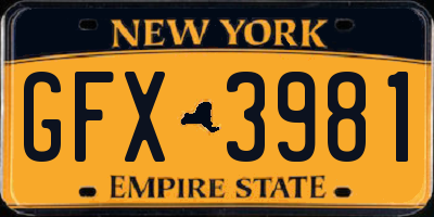 NY license plate GFX3981