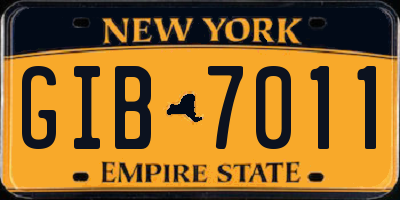 NY license plate GIB7011