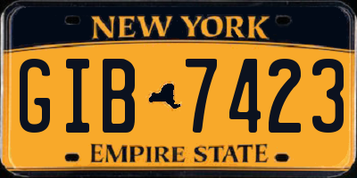 NY license plate GIB7423