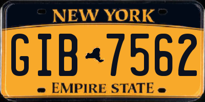 NY license plate GIB7562