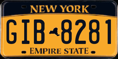 NY license plate GIB8281