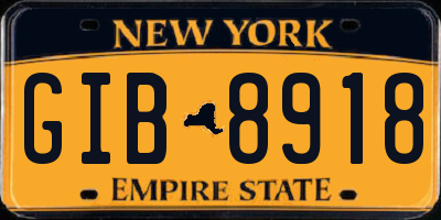 NY license plate GIB8918