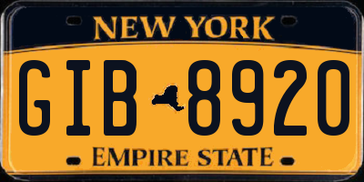 NY license plate GIB8920