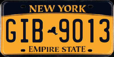 NY license plate GIB9013