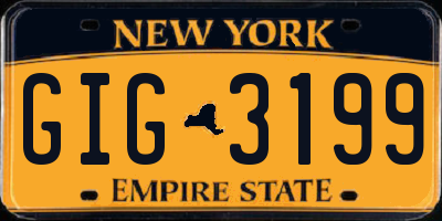 NY license plate GIG3199