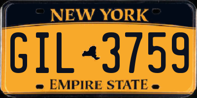 NY license plate GIL3759