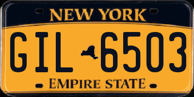 NY license plate GIL6503