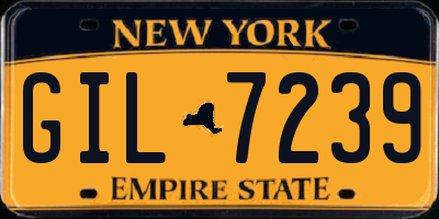 NY license plate GIL7239