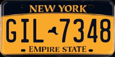 NY license plate GIL7348