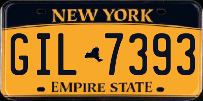 NY license plate GIL7393
