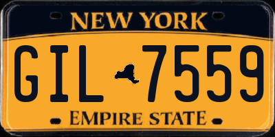 NY license plate GIL7559