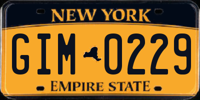 NY license plate GIM0229