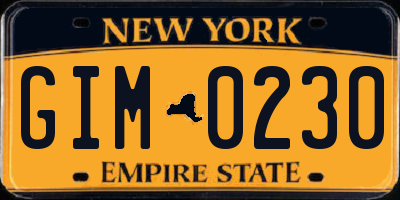 NY license plate GIM0230