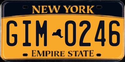 NY license plate GIM0246