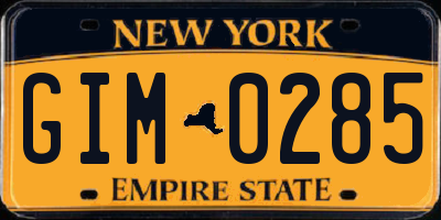 NY license plate GIM0285