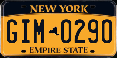 NY license plate GIM0290