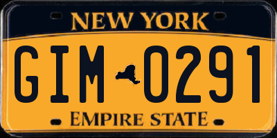 NY license plate GIM0291