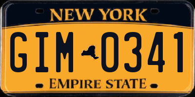 NY license plate GIM0341