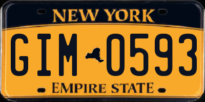 NY license plate GIM0593