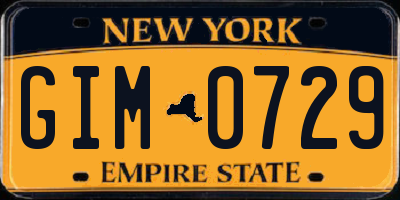 NY license plate GIM0729