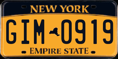 NY license plate GIM0919