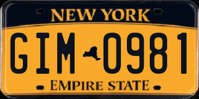 NY license plate GIM0981