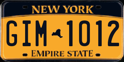 NY license plate GIM1012
