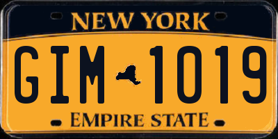 NY license plate GIM1019