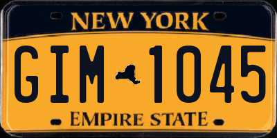 NY license plate GIM1045