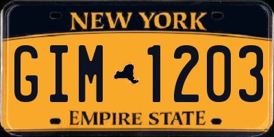 NY license plate GIM1203