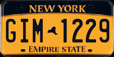 NY license plate GIM1229
