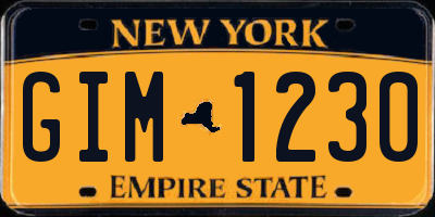 NY license plate GIM1230