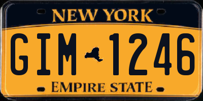 NY license plate GIM1246