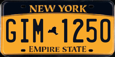 NY license plate GIM1250