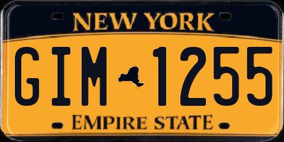 NY license plate GIM1255
